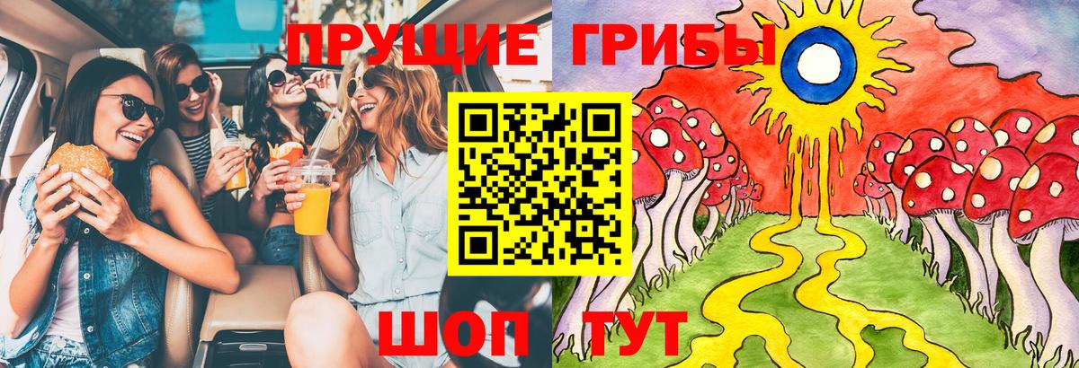 Псилоцибиновые грибы мухоморы Ярославль