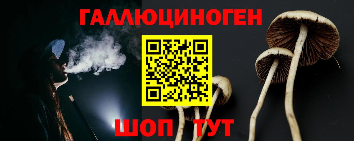 Псилоцибиновые грибы GOLDEN TEACHER  Вход с VPN  Ярославль 