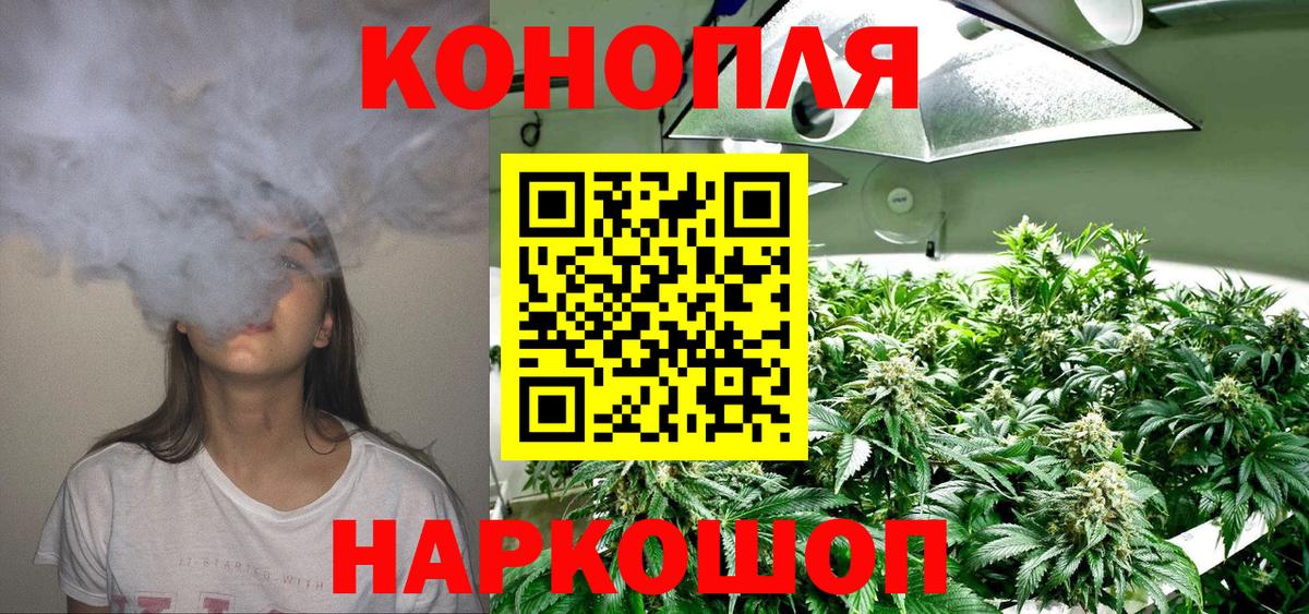 Канабис OG Kush Ярославль